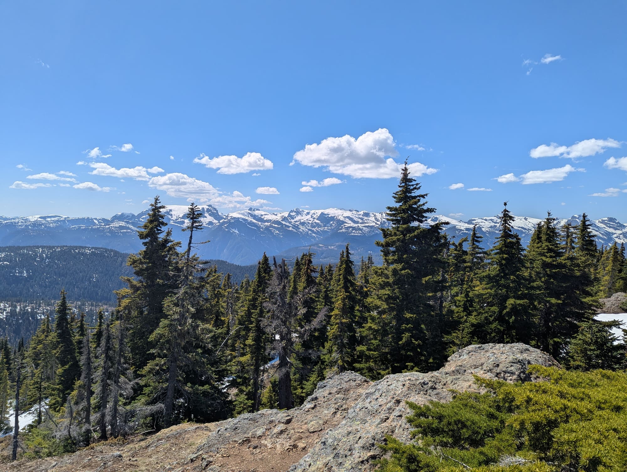 Evergreen forest and rocky alpine ground with distant mountains under a clear sky