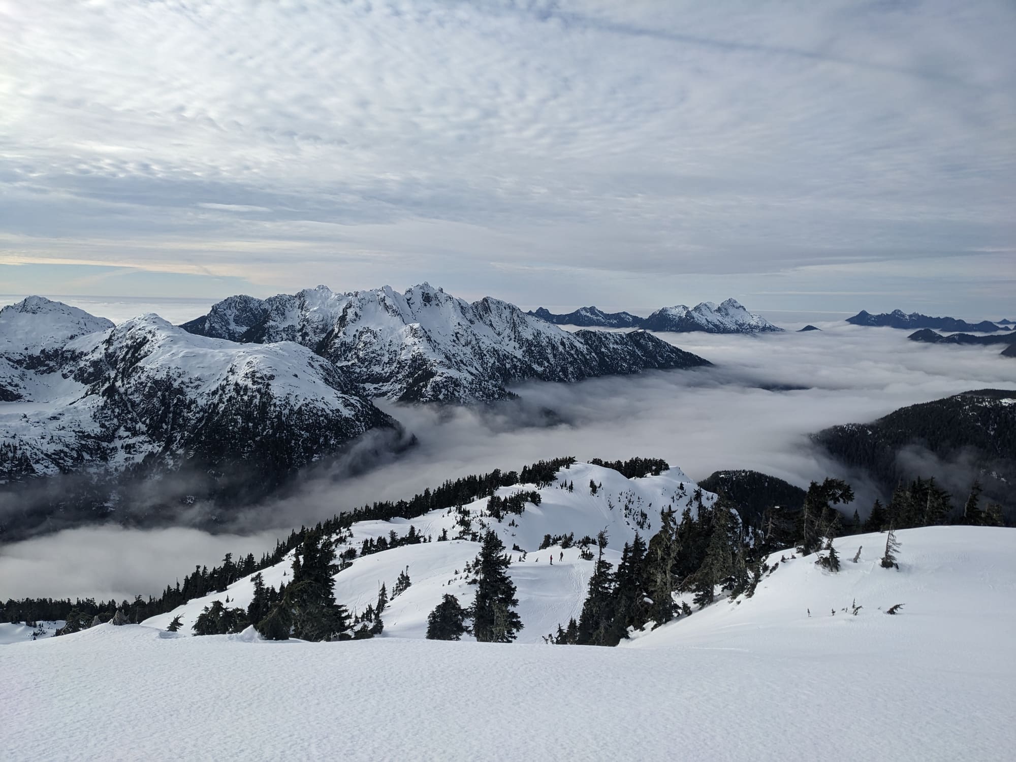 Snow-covered coastal mountains rising above cloud and forest